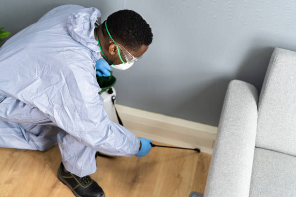 Professional Pest control in Salem, OR